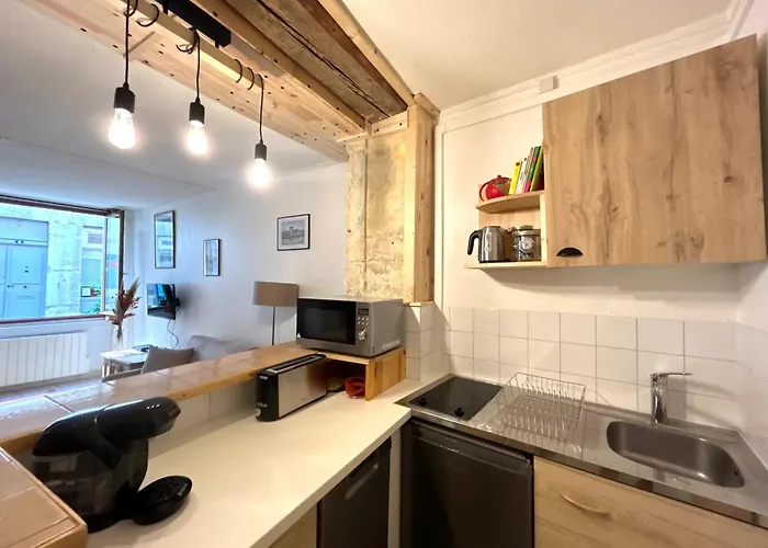 Apartament Le Rousseau Hyper Centre *