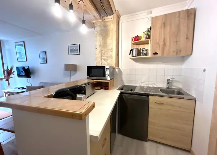 Apartament Le Rousseau Hyper Centre