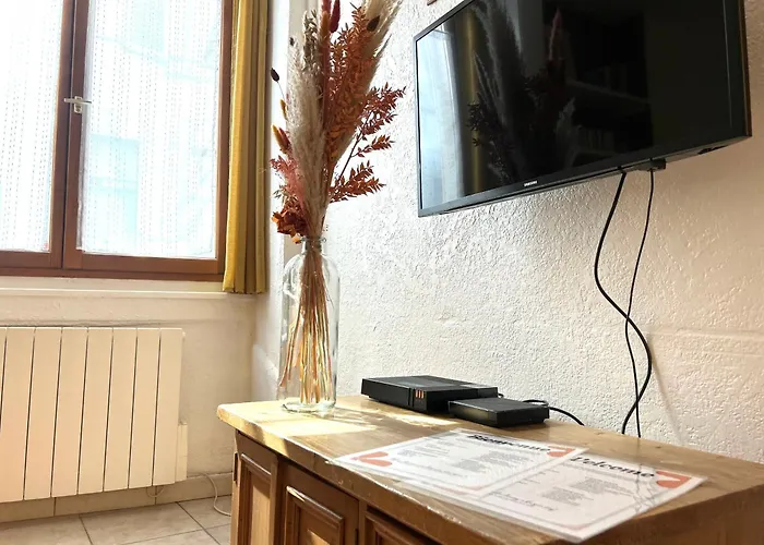 Le Rousseau Hyper Centre Apartament