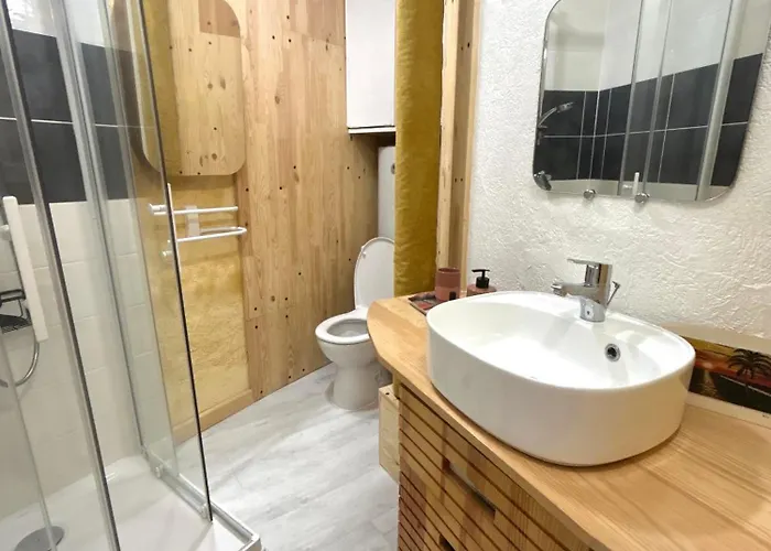 Apartament Le Rousseau Hyper Centre *